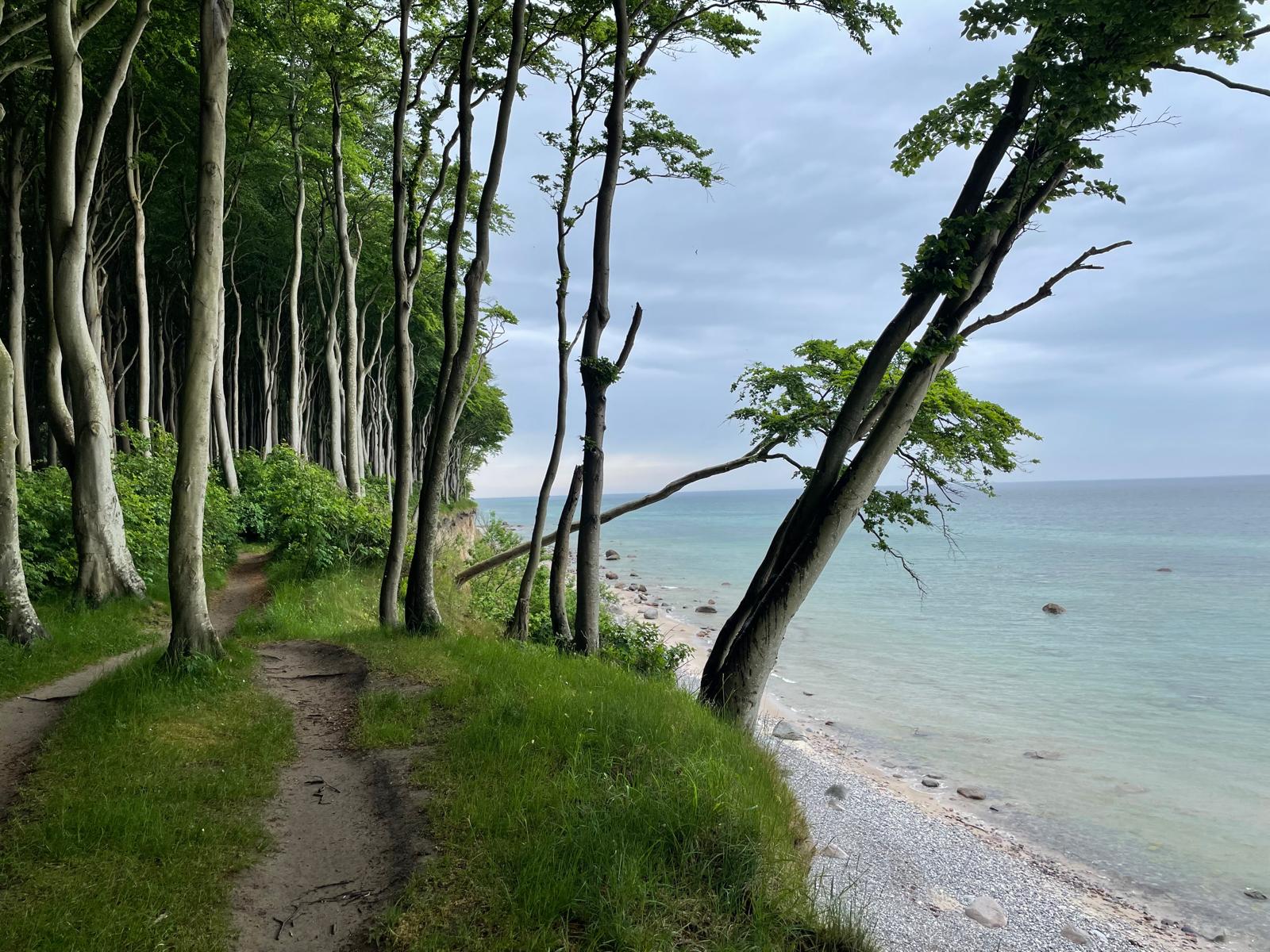 Strandweg an der Ostsee, Rügen