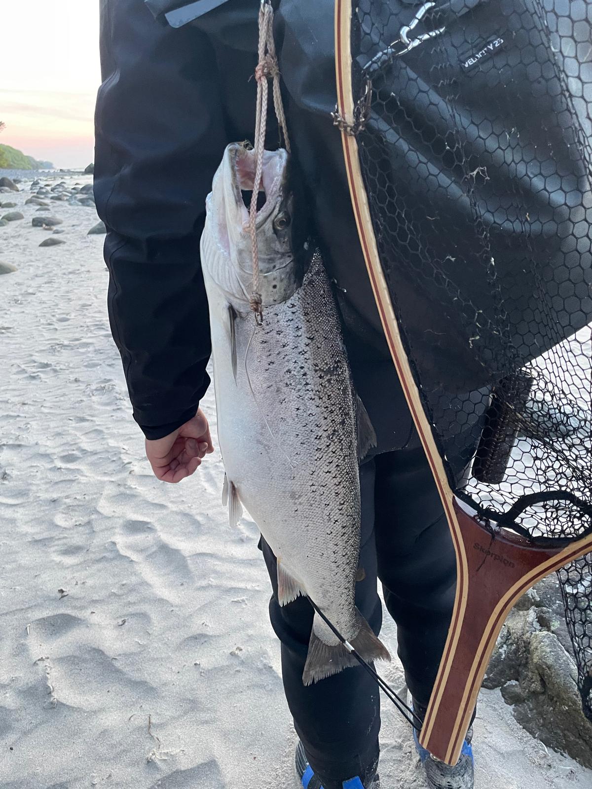 Angler beim Meerforellenangeln an der Nordküste Wittows