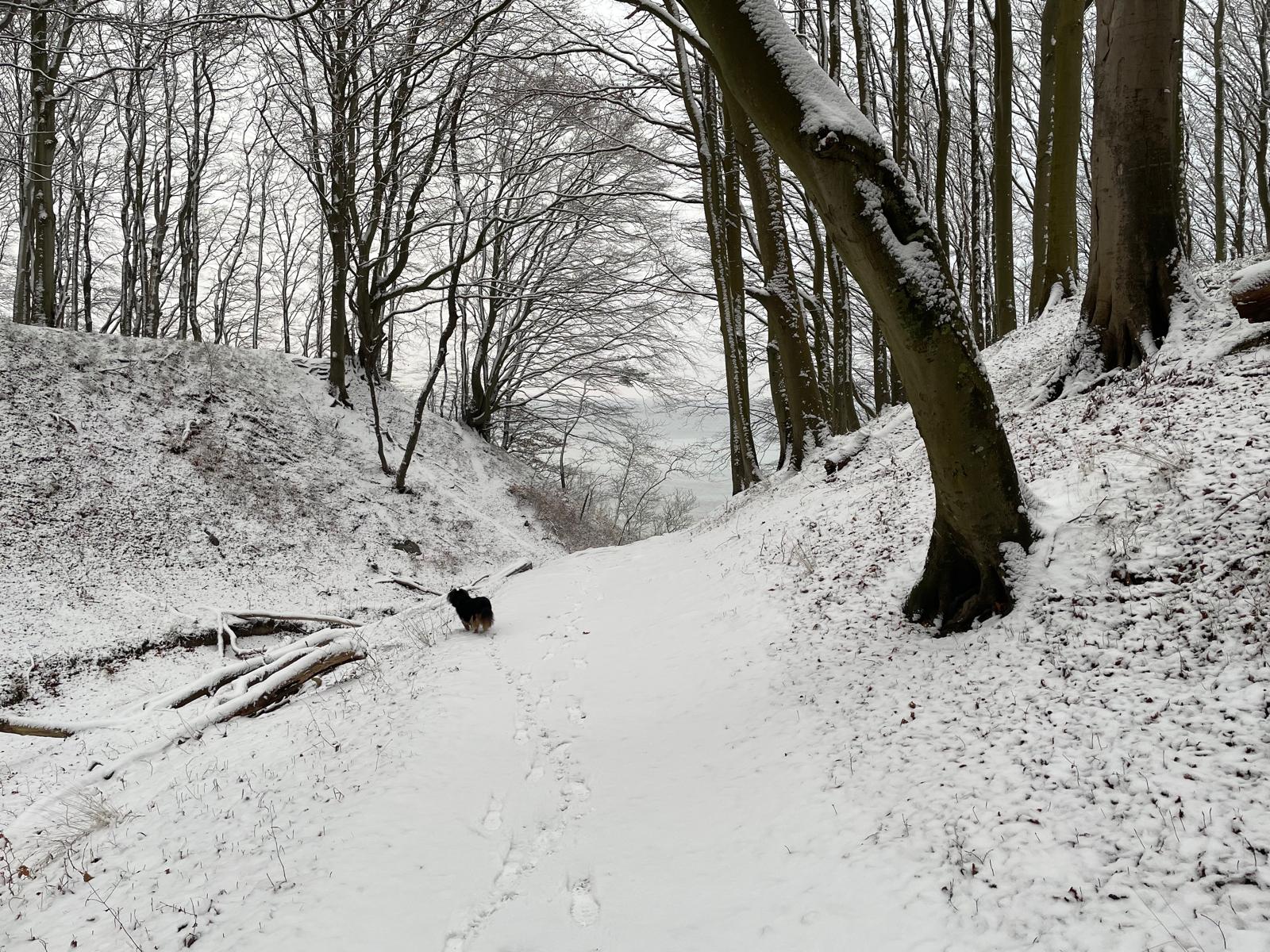 Verschneiter Weg auf Wittow
